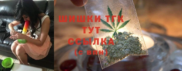 ECSTASY Богданович