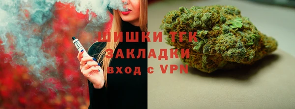 ECSTASY Богданович