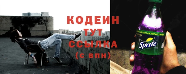 ECSTASY Богданович