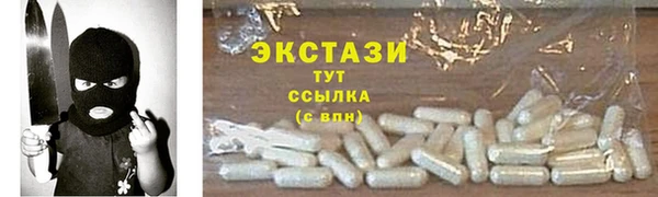 ECSTASY Богданович
