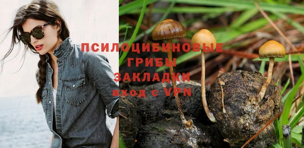 каннабис Богородицк