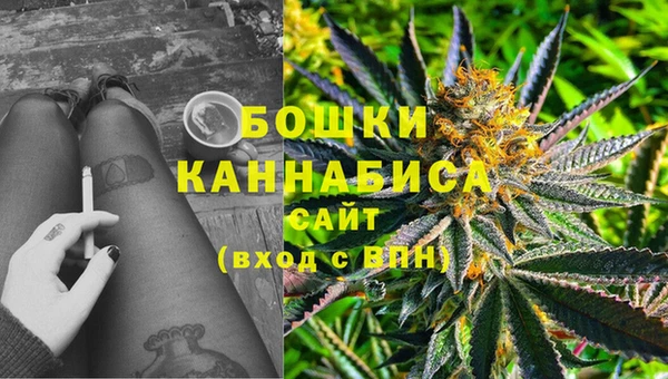 ECSTASY Богданович