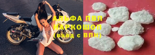 ECSTASY Богданович
