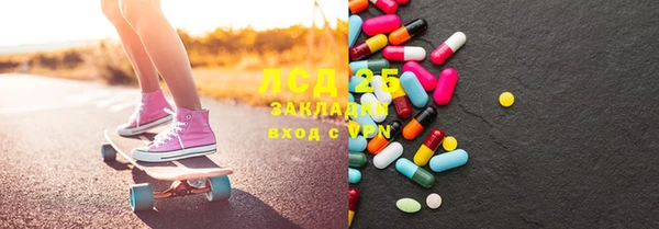 ECSTASY Богданович