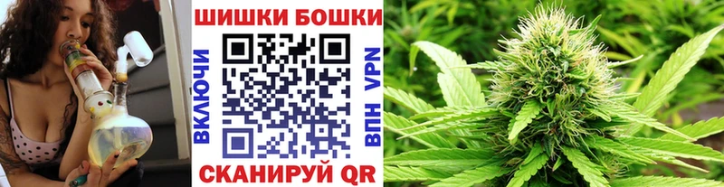 Бошки Шишки марихуана  Южно-Сухокумск 